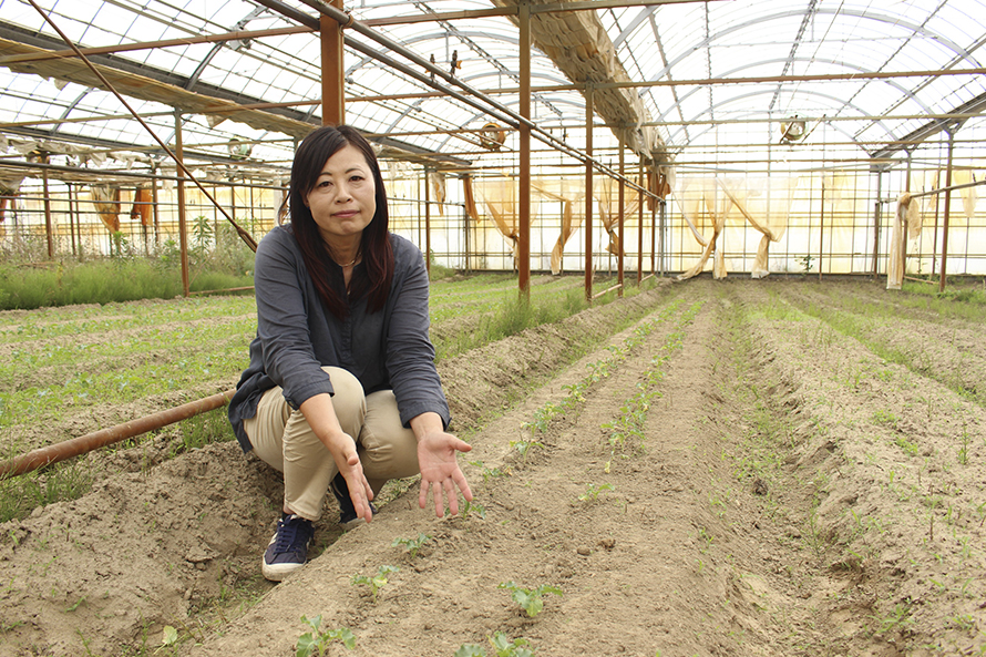 もっとおいしく野菜を食べるには 農家さんと考える あいちサラダめし あいち みんなのサラダ